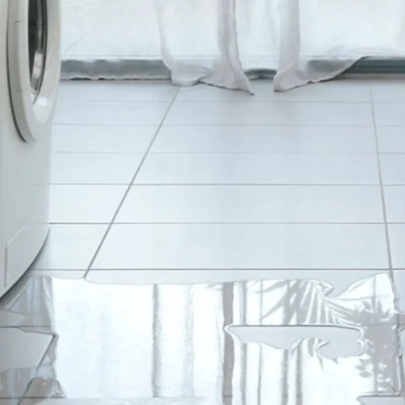 Appliance Leak Cleanup in Milam County, TX