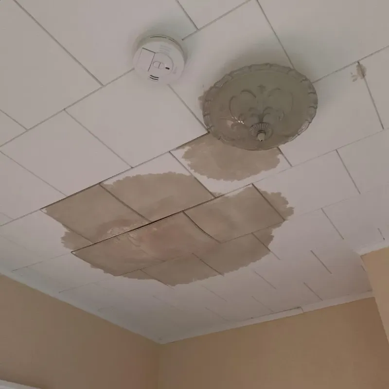 Ceiling Water Damage Repair in Milam County, TX
