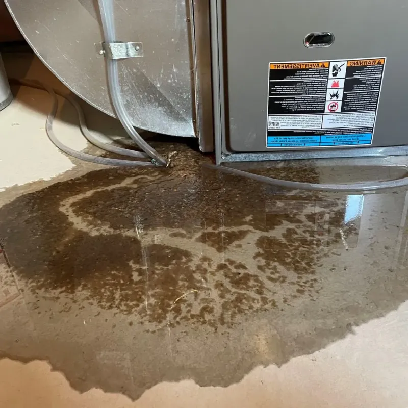 Pipe Burst and Leak Restoration in Milam County, TX