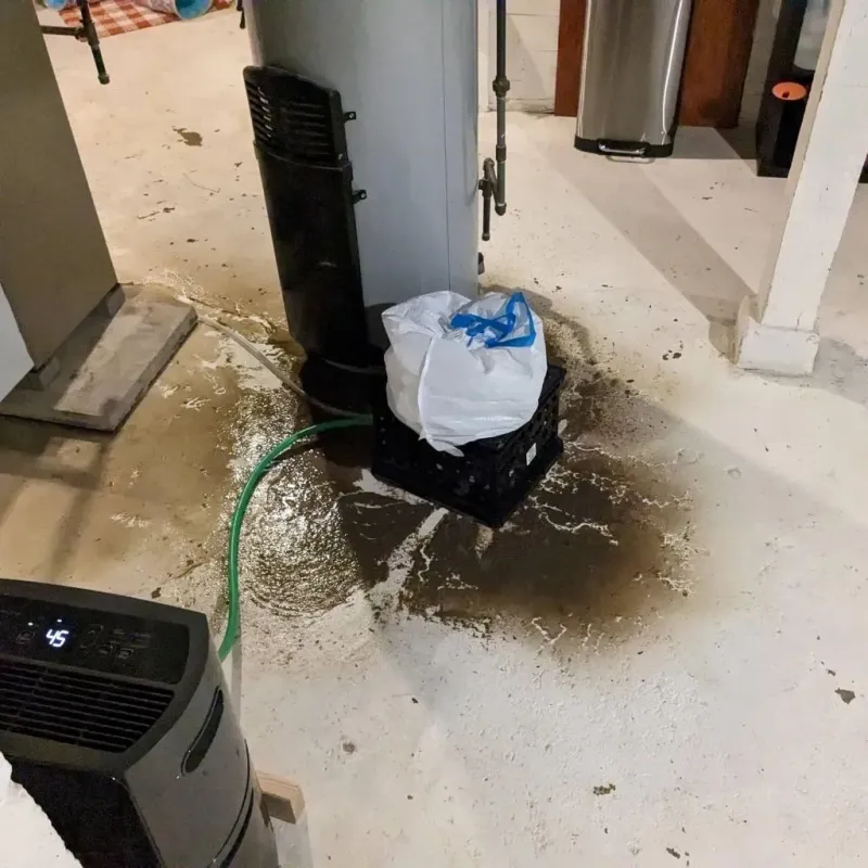 Sewage Backup Cleanup Service in Milam County, TX